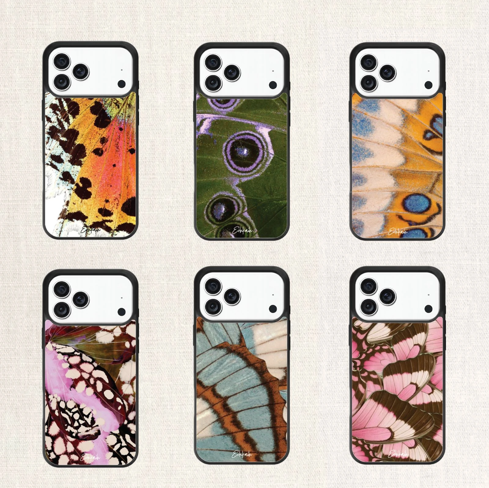Bfly Collection